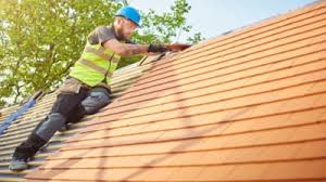 Best Roof Moss and Algae Removal  in Home Garden, CA