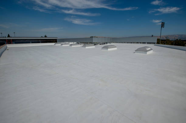 Best Solar Panel Roofing Installation  in Home Garden, CA