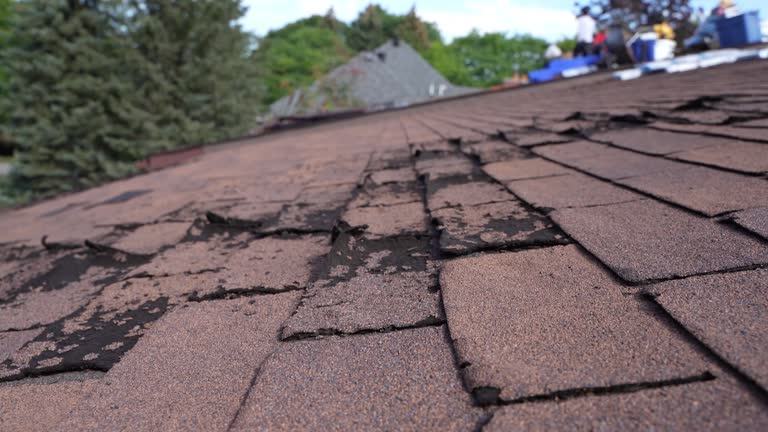 Best Metal Roofing Installation  in Home Garden, CA